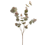 RAMA EUCALIPTO VERDE-MARRÓN 96CM