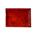 BANDEJA RECTANGULAR MEDIANA CONCHA METACRILATO