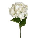HORTENSIA BLANCA 405HA163