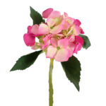 HORTENSIA MINI A32 ROSA 090612
