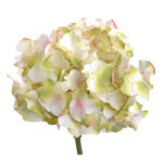 HORTENSIA ALTONA VERDE/BLANCO/ROSA RF.100946