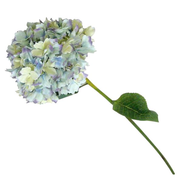 1015529-3.jpg HORTENSIA GRANDE AZUL 1971081 - Imagen 1