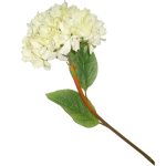 HORTENSIA GRANDE BLANCA 1971082