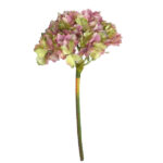 HORTENSIA PEQUEÑA ROSA 1971073