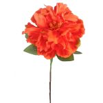 PEONIA PARIS MELOCOTON 08413