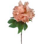 PEONIA PARIS MAQUILLAJE 08421