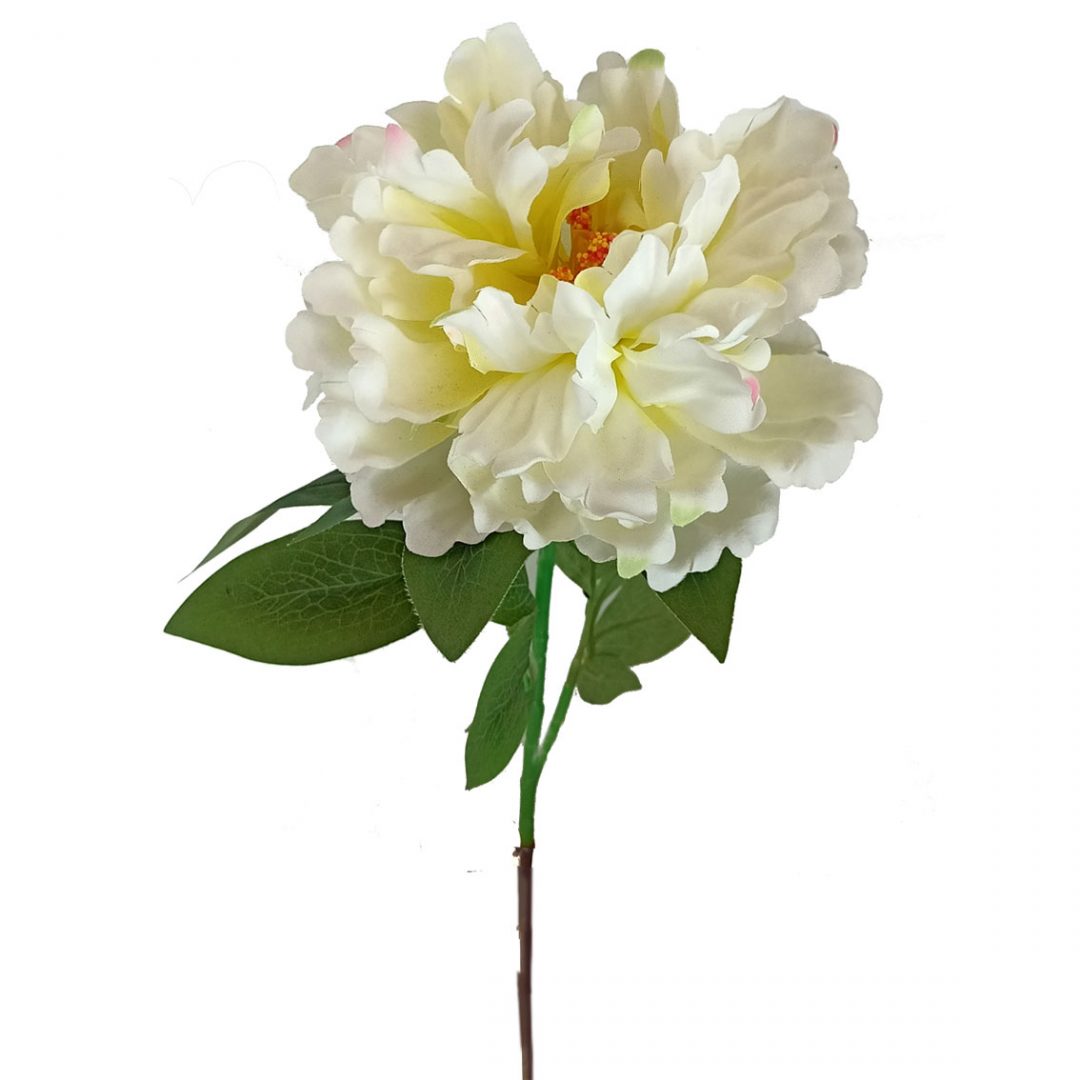 1016462-2.jpg PEONIA PARIS 74CM BLANCA-ROSA 08403 - Imagen 1