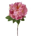 PEONIA PARIS LAVANDA 08407