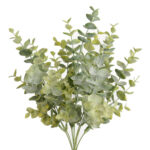EUCALIPTO BABY VERDE 143240