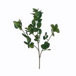 RAMA FICUS 3038