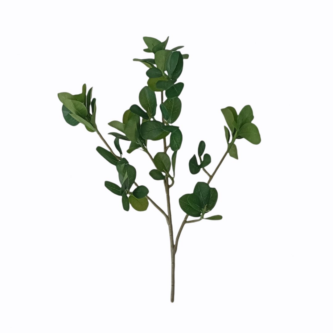 1017233.jpg RAMA FICUS 3038 - Imagen 1