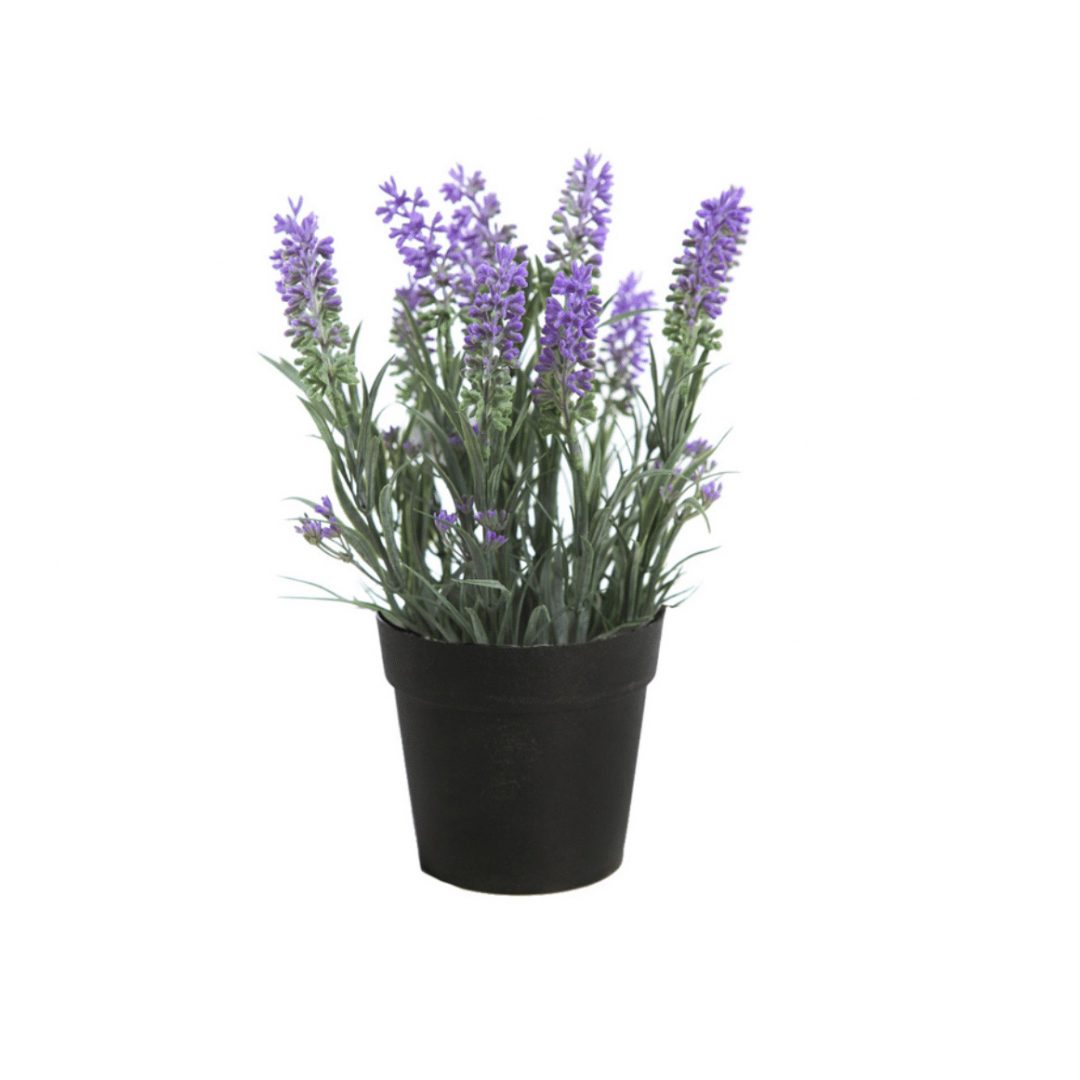 1017605-1.jpg MACETA LAVANDA AD0120ME - Imagen 1