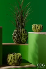 JARRÓN GUISANTES CERÁMICA - Imagen 3