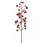 VARA MANZANO ROJA 88CM