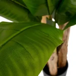 PLANTA HOJA BANANO VERDE 93X93X190CM - Imagen 3