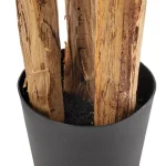 PLANTA HOJA BANANO VERDE 93X93X190CM - Imagen 5