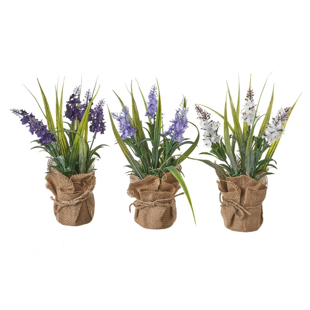 802312.webp PLANTA LAVANDA 3 MOTIVOS - Imagen 1