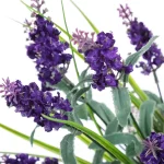 PLANTA LAVANDA 3 MOTIVOS MED. - Imagen 4