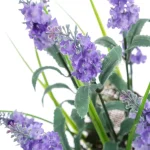PLANTA LAVANDA 3 MOTIVOS MED. - Imagen 3