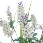 PLANTA LAVANDA 3 MOTIVOS MED. - Imagen 2