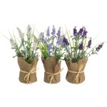 PLANTA LAVANDA 3 MOTIVOS MED.