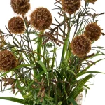 PLANTA BOLITAS 2 MOTIVOS - Imagen 3