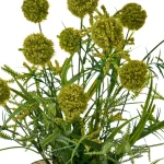 PLANTA BOLITAS 2 MOTIVOS - Imagen 2