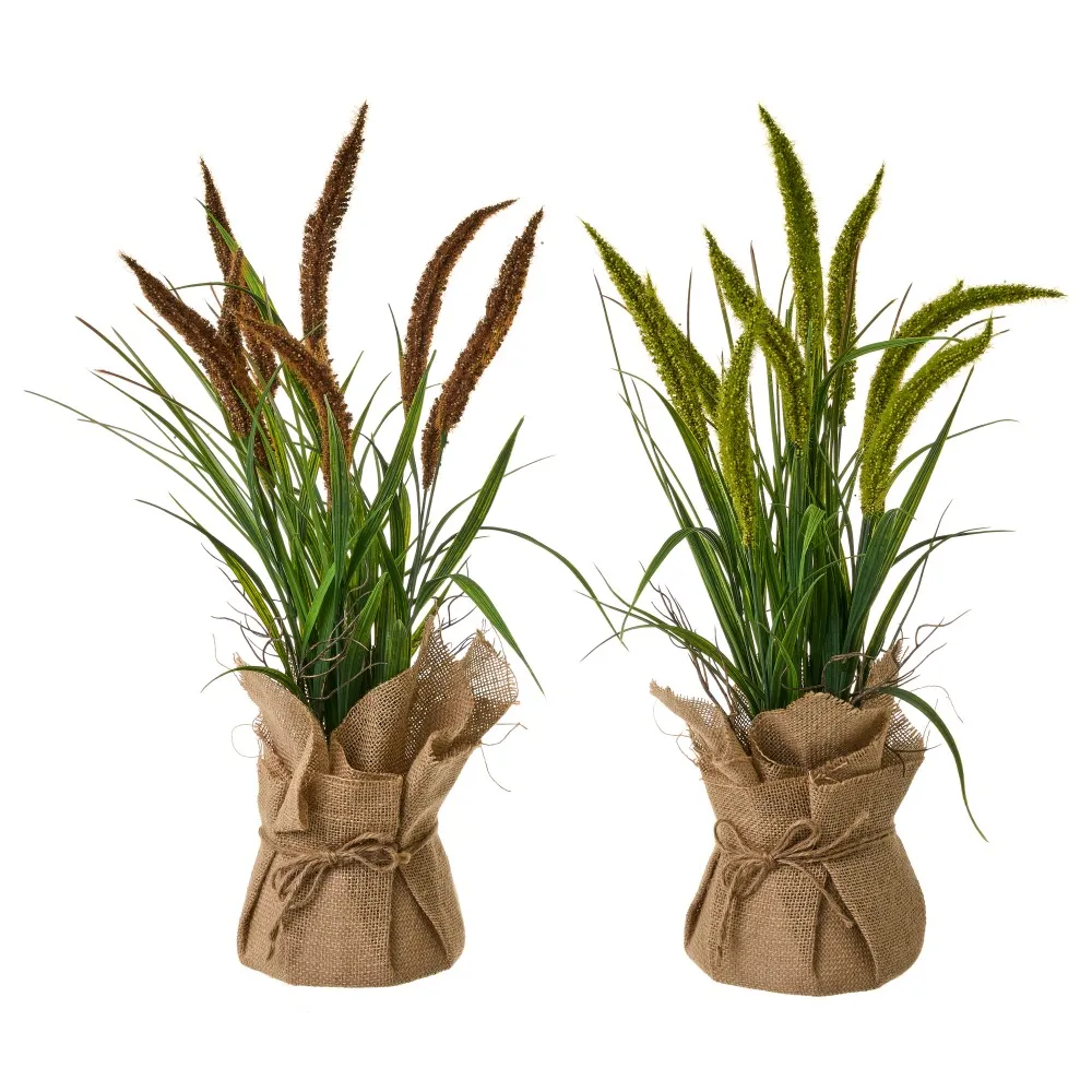 803591.webp PLANTA ESPIGAS 2 MOTIVOS - Imagen 1