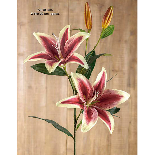 F.-0015-88.jpg LILIUM BURDEOS 86CM - Imagen 1