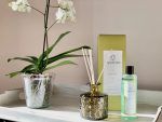 MIKADO 250ML ALOE VERA - Imagen 2