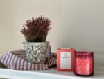 VELA PERFUMADA WILD BERRIES - Imagen 2