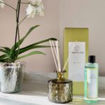 MIKADO 250ML ALOE VERA