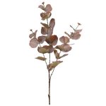 RAMA EUCALIPTO MARRÓN 78CM