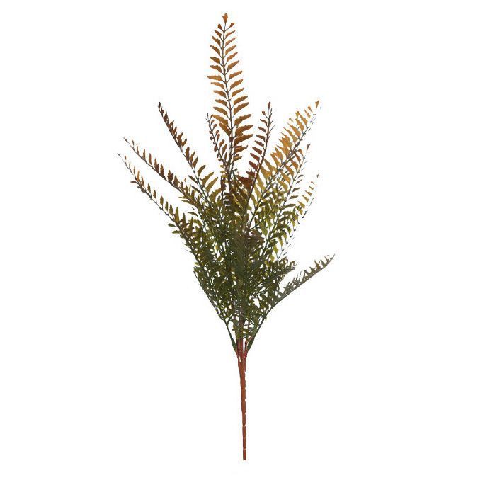 helecho-marron.jpg HELECHO MARRÓN 50CM - Imagen 1
