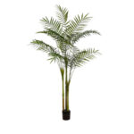 PLANTA PALMERA ARECA 150CM