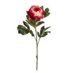 PEONIA MORADA 80CM