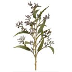 RAMA EUCALYPTUS SEED LAVANDA