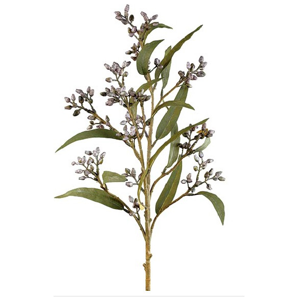 rama-eucalipto-semilla-78cm.jpg RAMA EUCALYPTUS SEED LAVANDA - Imagen 1