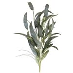 RAMAJE EUCALYPTUS VERDE OLIVA