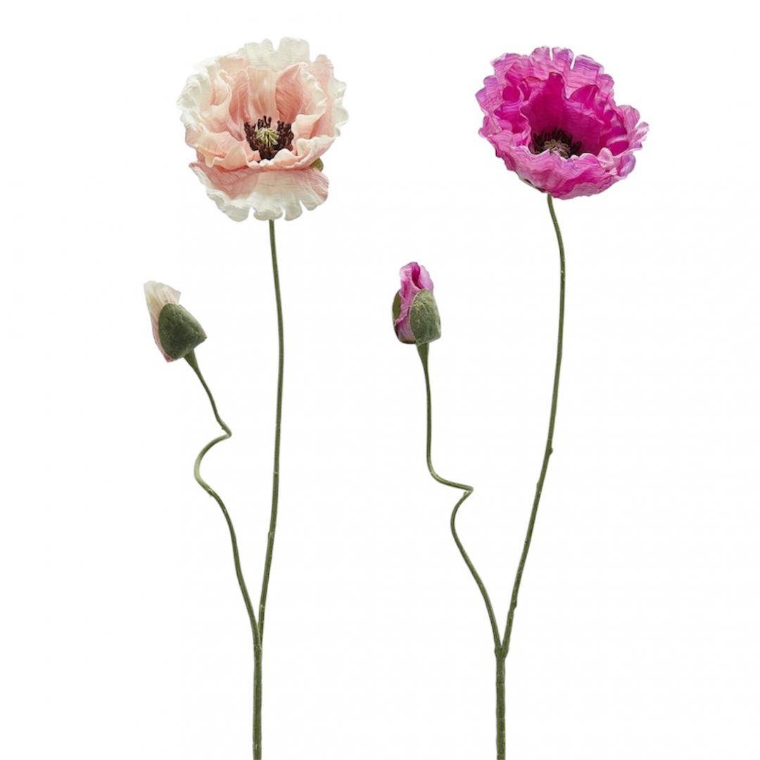 thumbnail_Photoroom_20250531_111049.jpg AMAPOLA 2M FUCSIA BLANCO/CREMA - Imagen 1