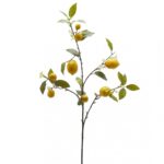 VARA LIMONERO 105CM