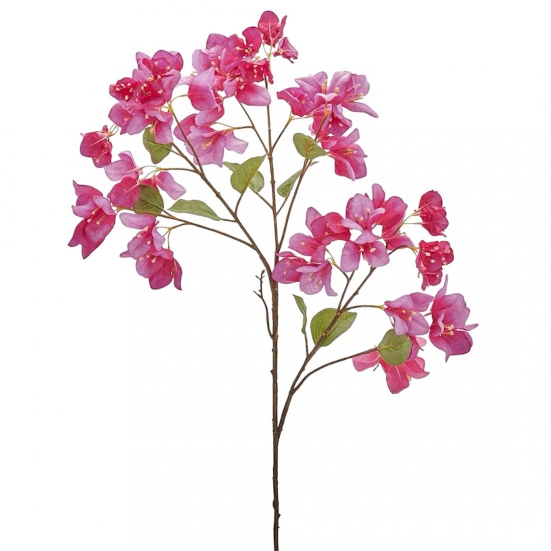 thumbnail_Photoroom_20250531_111406.jpg BUGANVILLA ROSA 90CM - Imagen 1