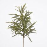 VARA CRYPTOMERIA 70CM