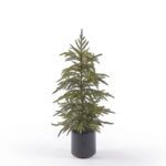 ARBOLITO CRYPTOMERIA 80CM