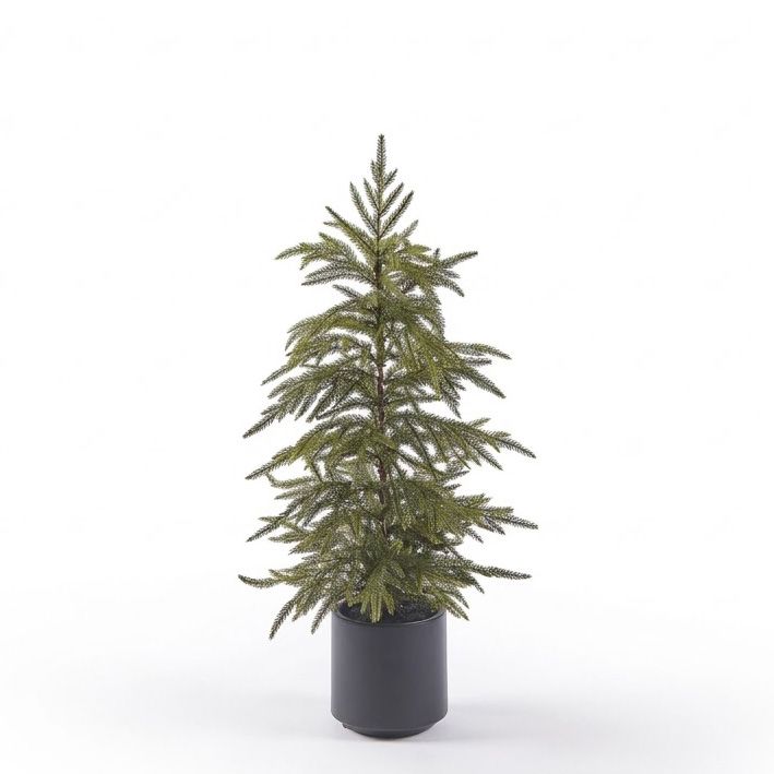 ARBOLITO CRYPTOMERIA 80CM - Imagen 1